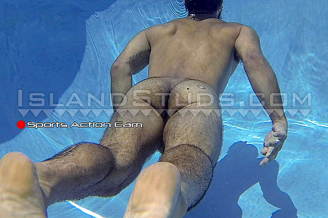 Hairy Hung Hawaiian Kamani Image